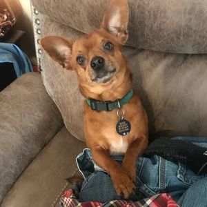 Meet your Posher, Rachel